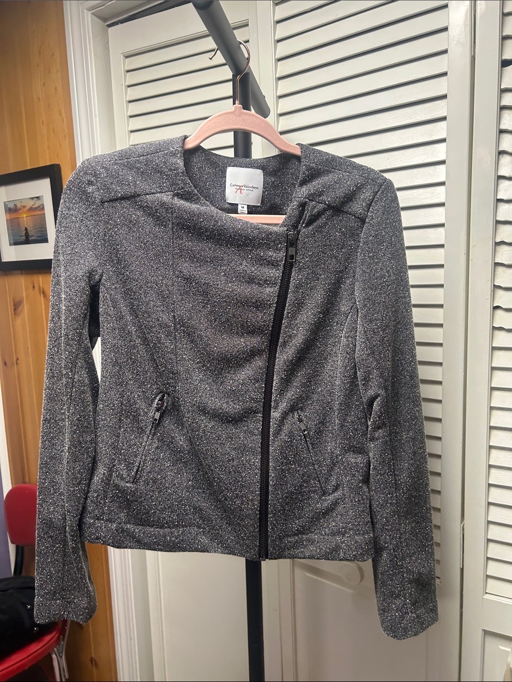 Catherine Malandrino Silver Sparkle Asymmetrical Bomber Jacket
